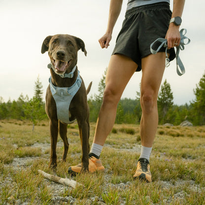 Ruffwear Front Range Flex Leash – Reflektierende Premium - Hundeleine mit weichem Griff für maximale Kontrolle und Komfort bei jedem Abenteuer - Woofshack