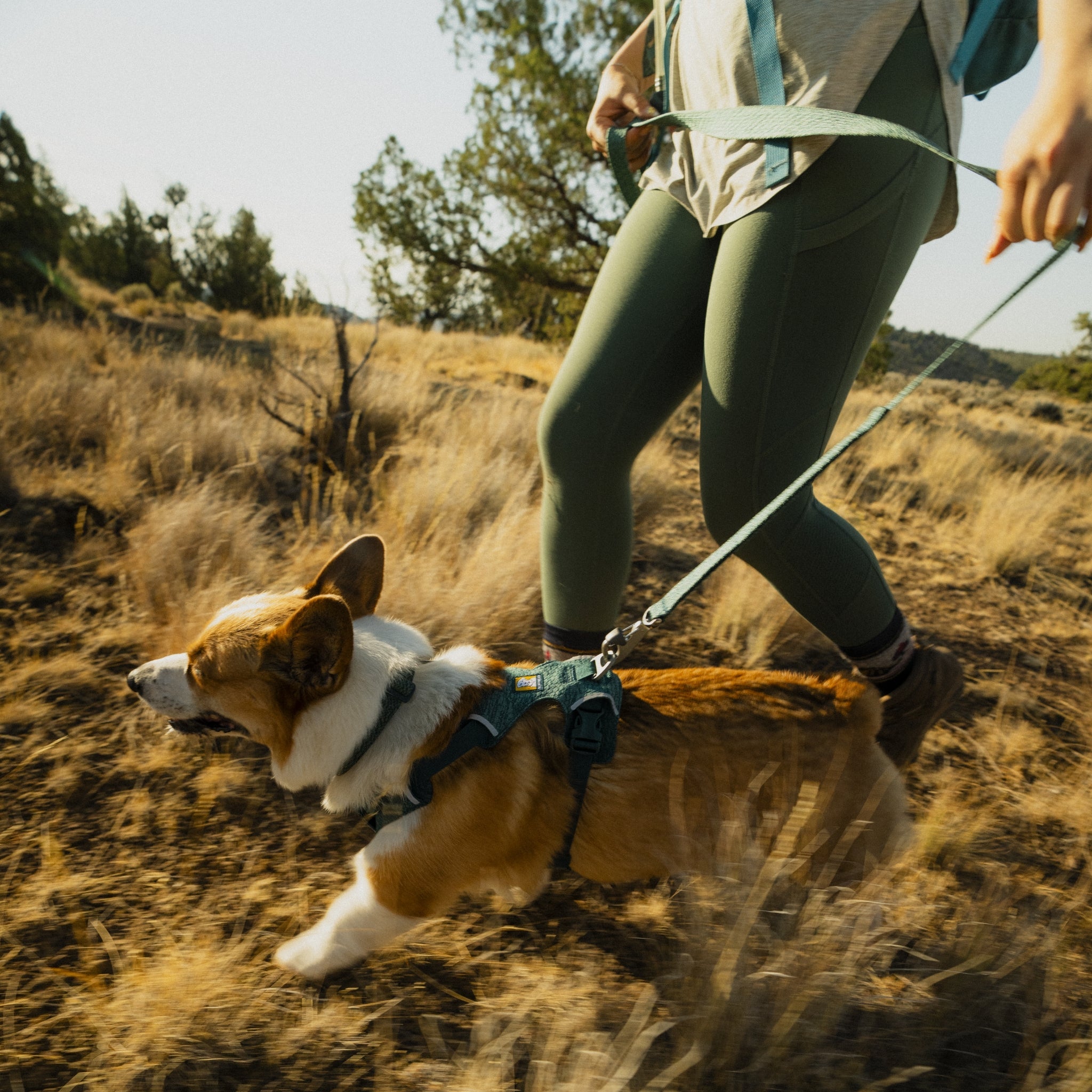 Ruffwear Front Range Flex Leash – Reflektierende Premium - Hundeleine mit weichem Griff für maximale Kontrolle und Komfort bei jedem Abenteuer - Woofshack