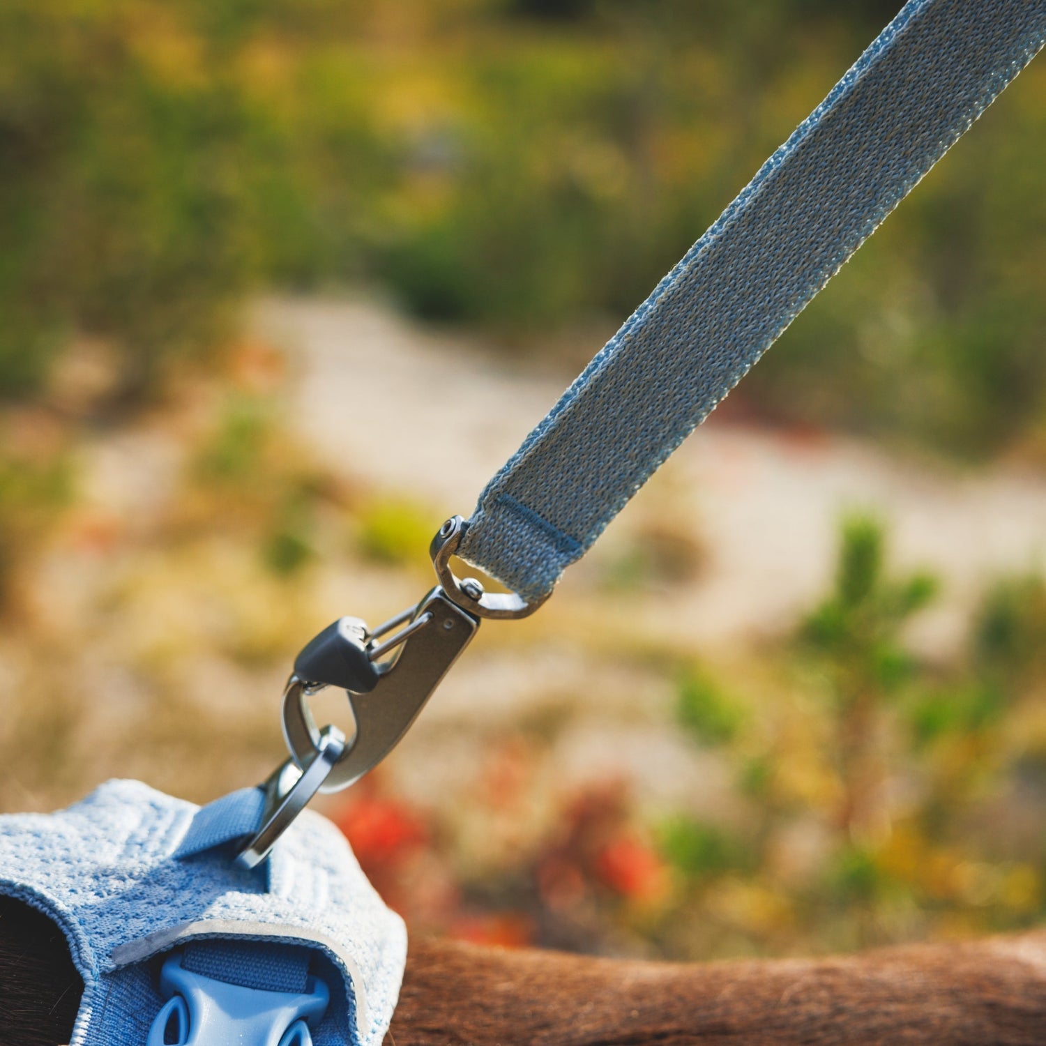 Ruffwear Front Range Flex Leash – Reflektierende Premium - Hundeleine mit weichem Griff für maximale Kontrolle und Komfort bei jedem Abenteuer - Woofshack