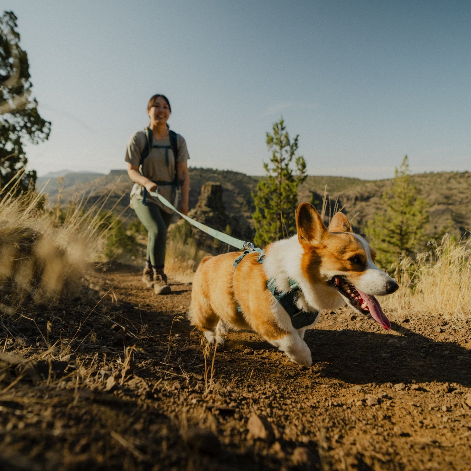 Ruffwear Front Range Flex Leash – Reflektierende Premium - Hundeleine mit weichem Griff für maximale Kontrolle und Komfort bei jedem Abenteuer - Woofshack
