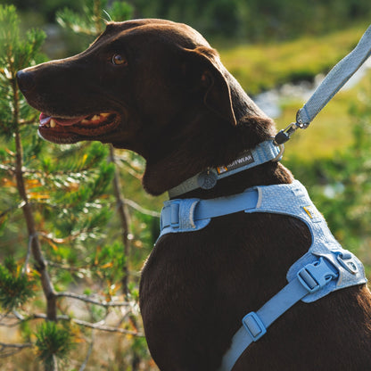 Ruffwear Front Range Flex Leash – Reflektierende Premium - Hundeleine mit weichem Griff für maximale Kontrolle und Komfort bei jedem Abenteuer - Woofshack