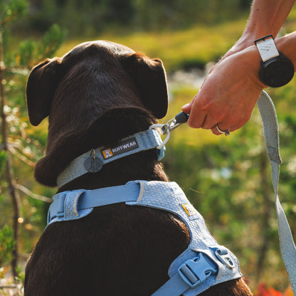 Ruffwear Front Range Flex Leash – Reflektierende Premium - Hundeleine mit weichem Griff für maximale Kontrolle und Komfort bei jedem Abenteuer - Woofshack