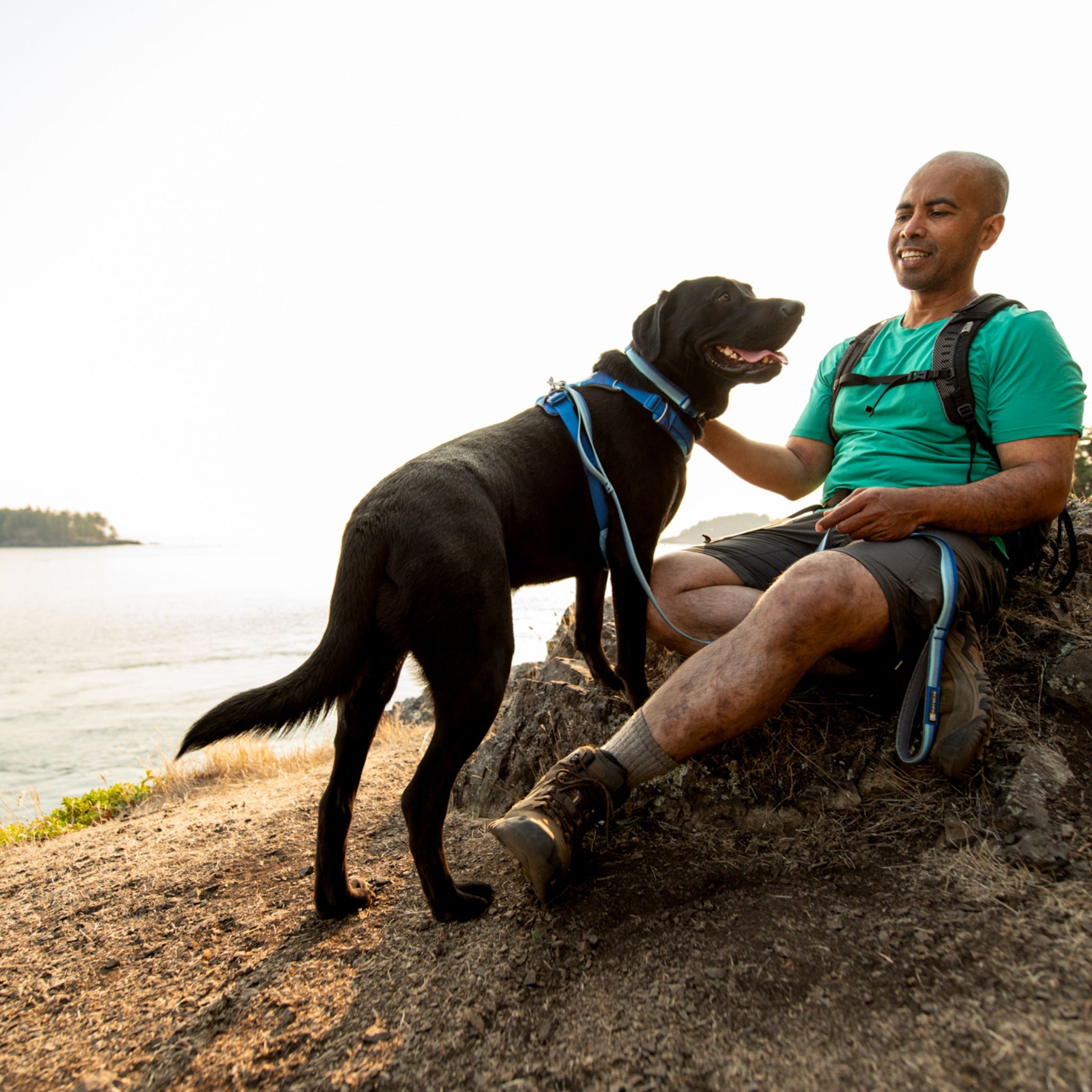 Ruffwear Front Range Harness – Premium Hundegeschirr mit Brustring gegen Ziehen, gepolstert für maximalen Komfort bei Spaziergängen &amp; Outdoor-Abenteuern