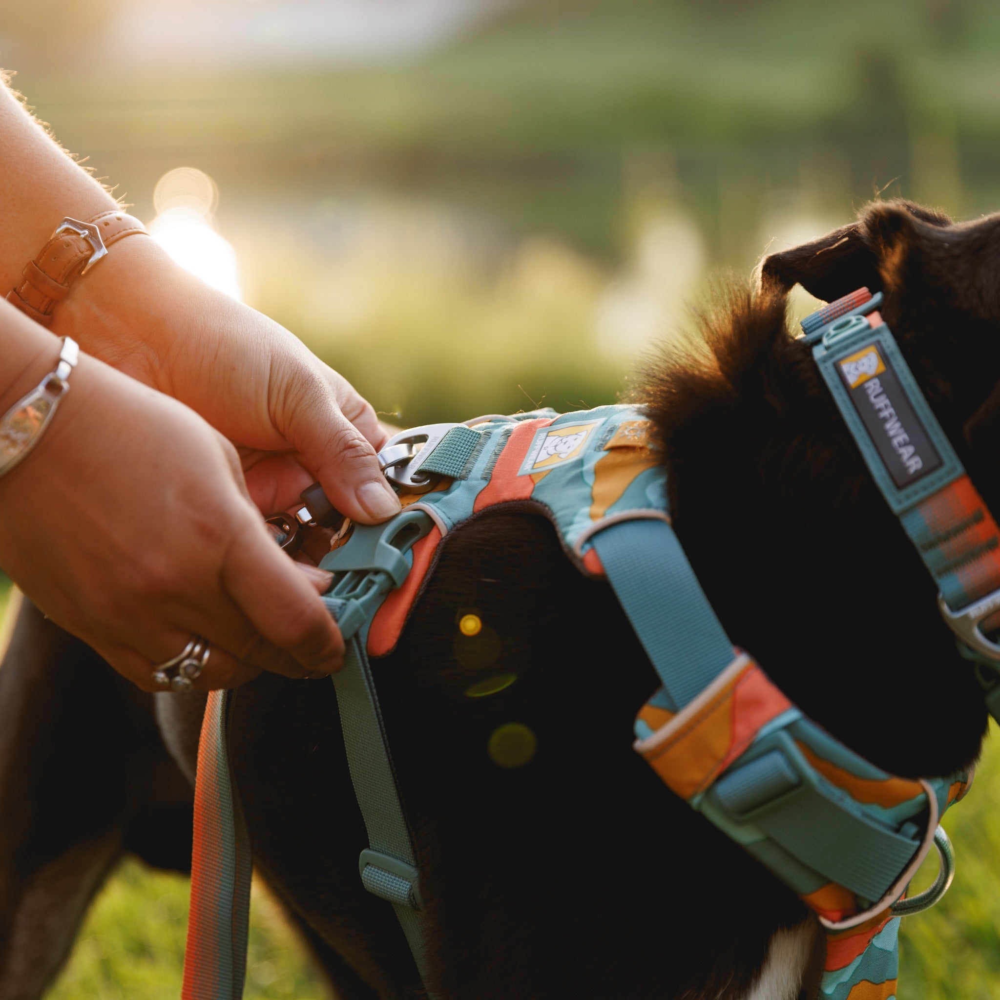 Ruffwear Front Range Harness – Premium Hundegeschirr mit Brustring gegen Ziehen, gepolstert für maximalen Komfort bei Spaziergängen &amp; Outdoor-Abenteuern