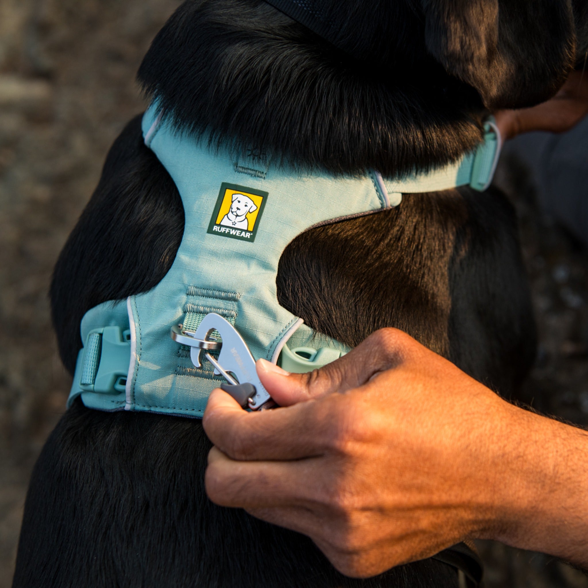 Ruffwear Front Range Harness – Premium Hundegeschirr mit Brustring gegen Ziehen, gepolstert für maximalen Komfort bei Spaziergängen &amp; Outdoor-Abenteuern
