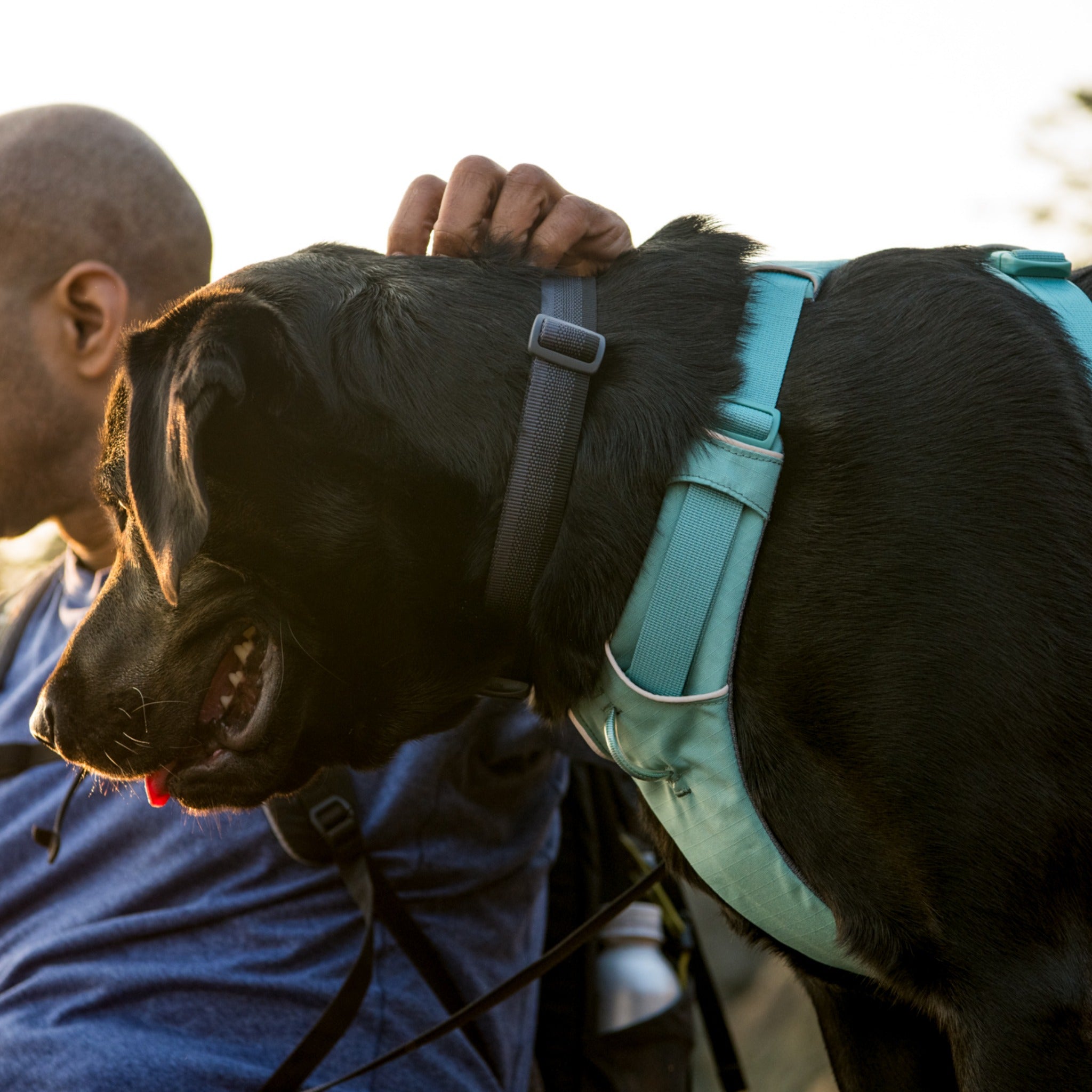 Ruffwear Front Range Harness – Premium Hundegeschirr mit Brustring gegen Ziehen, gepolstert für maximalen Komfort bei Spaziergängen &amp; Outdoor-Abenteuern