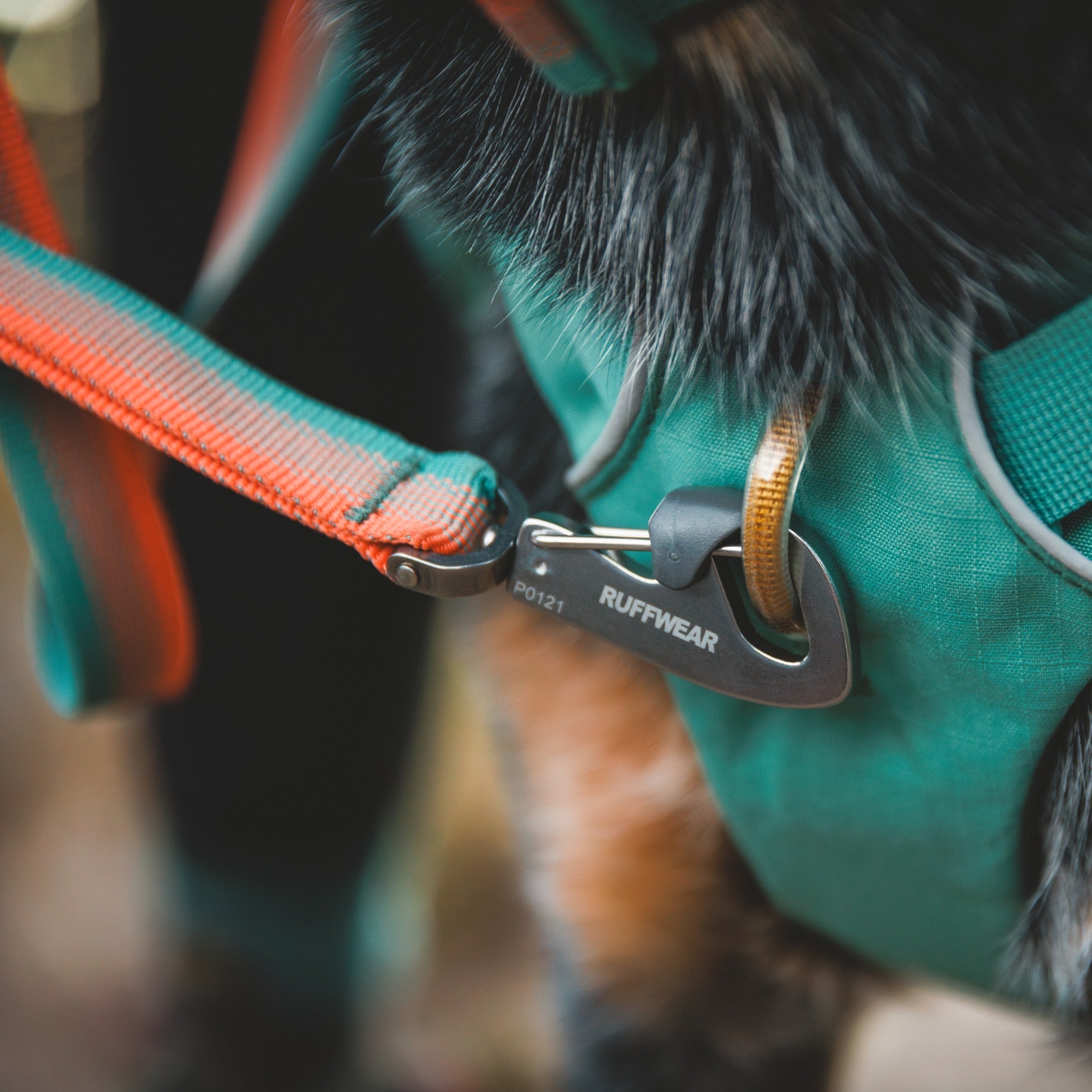 Ruffwear Front Range Leash - Premium Hundeleine mit gepolstertem Griff für maximale Kontrolle und Komfort bei jedem Abenteuer