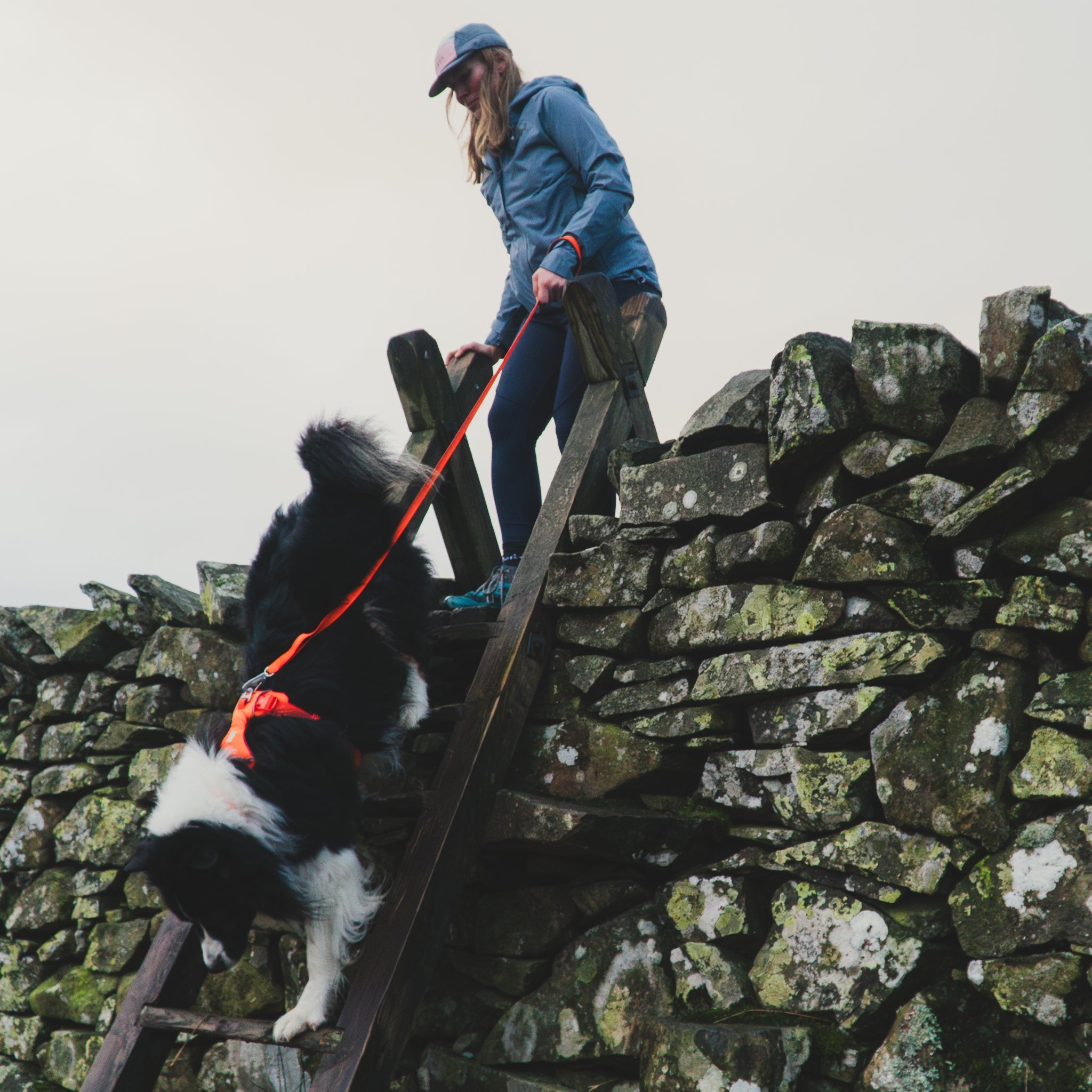 Ruffwear Front Range Leash - Premium Hundeleine mit gepolstertem Griff für maximale Kontrolle und Komfort bei jedem Abenteuer