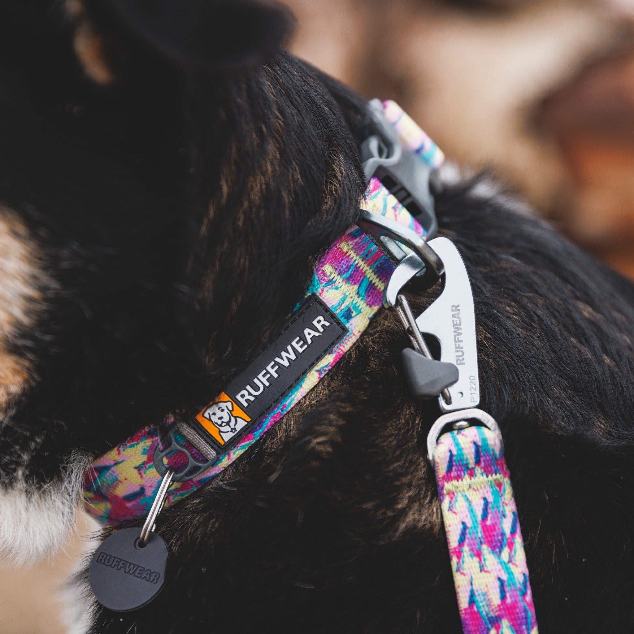 Ruffwear Front Range Leash - Premium Hundeleine mit gepolstertem Griff für maximale Kontrolle und Komfort bei jedem Abenteuer