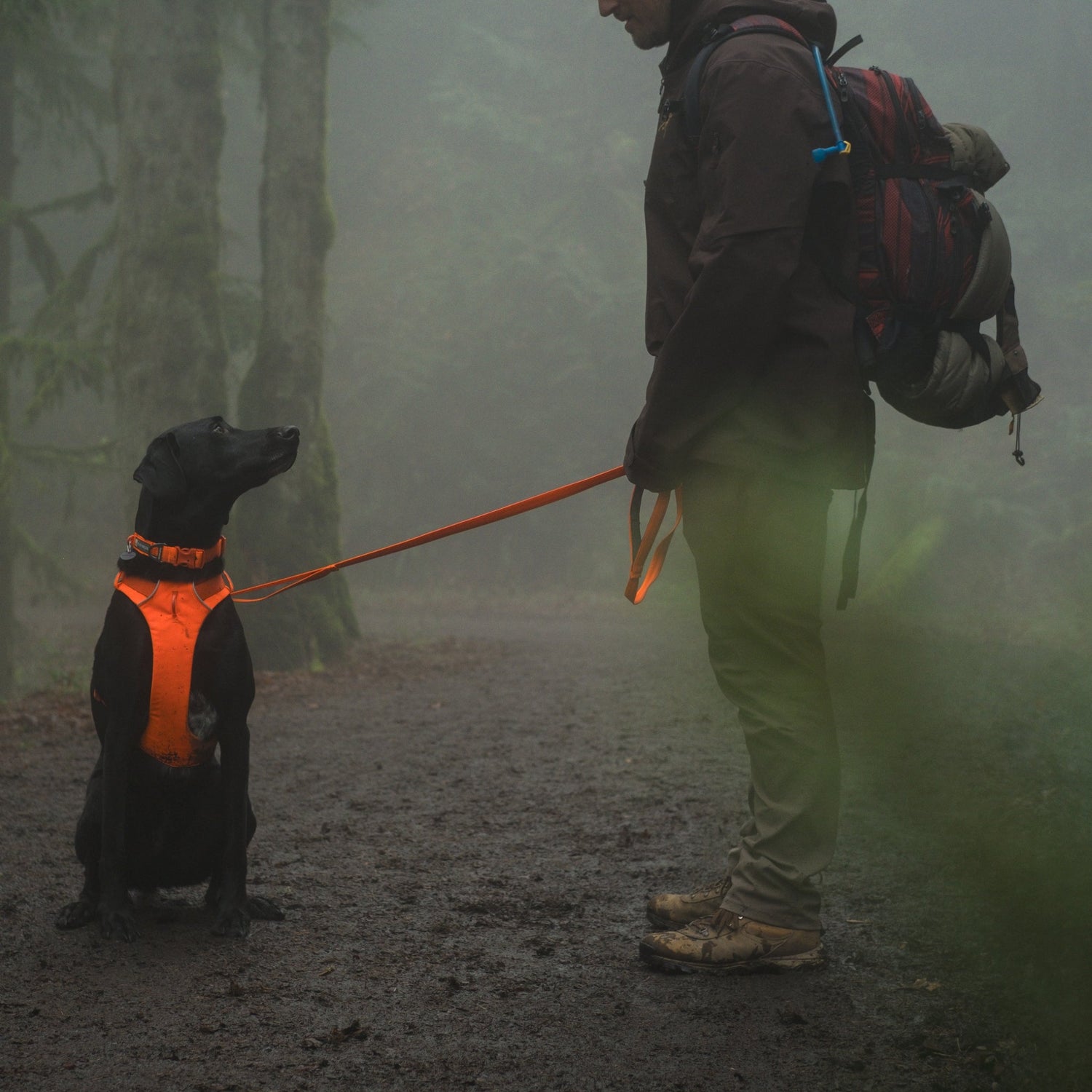 Ruffwear Front Range Leash - Premium Hundeleine mit gepolstertem Griff - Woofshack