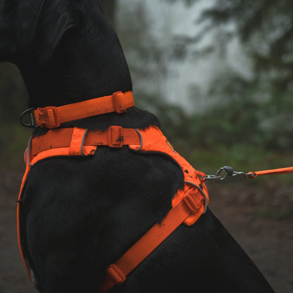 Ruffwear Front Range Leash - Premium Hundeleine mit gepolstertem Griff - Woofshack