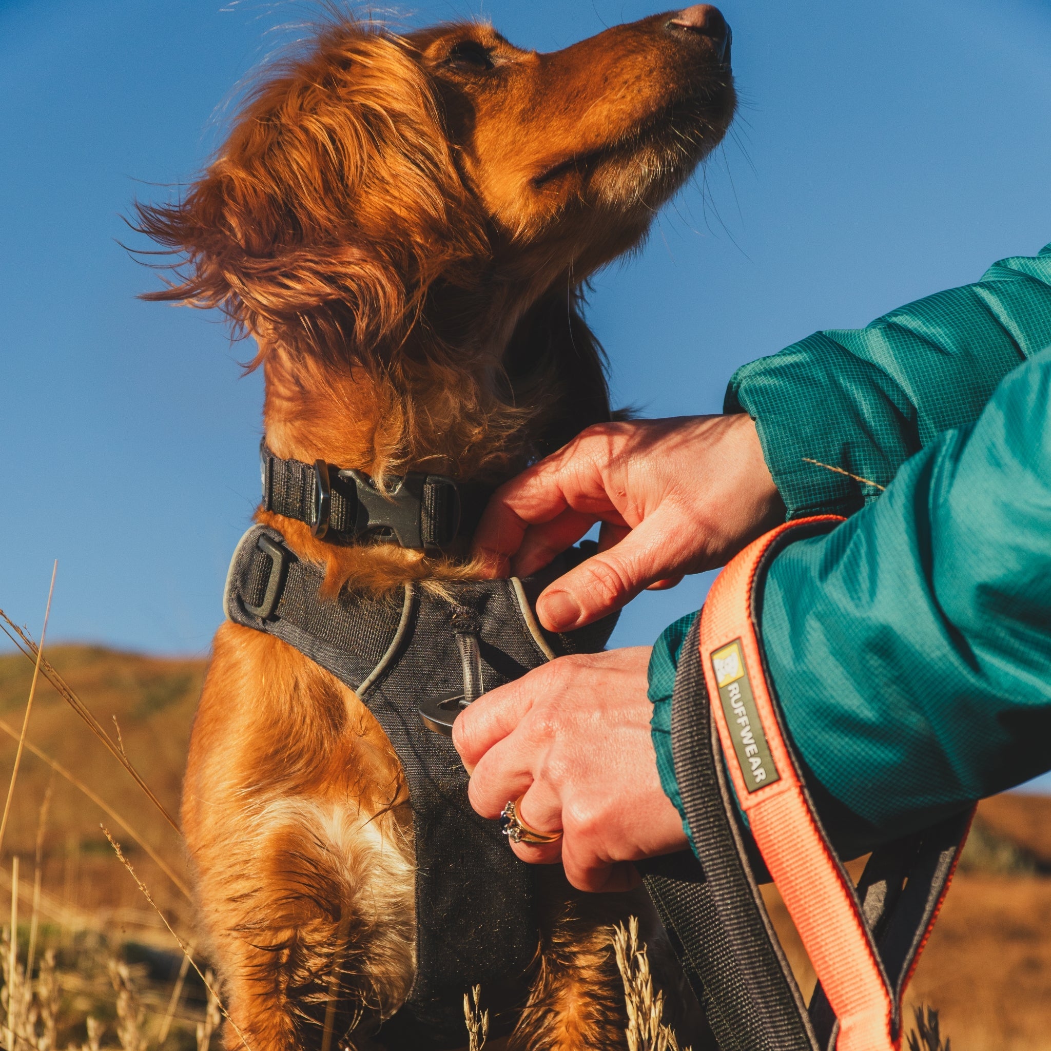Ruffwear Front Range Leash - Premium Hundeleine mit gepolstertem Griff - Woofshack