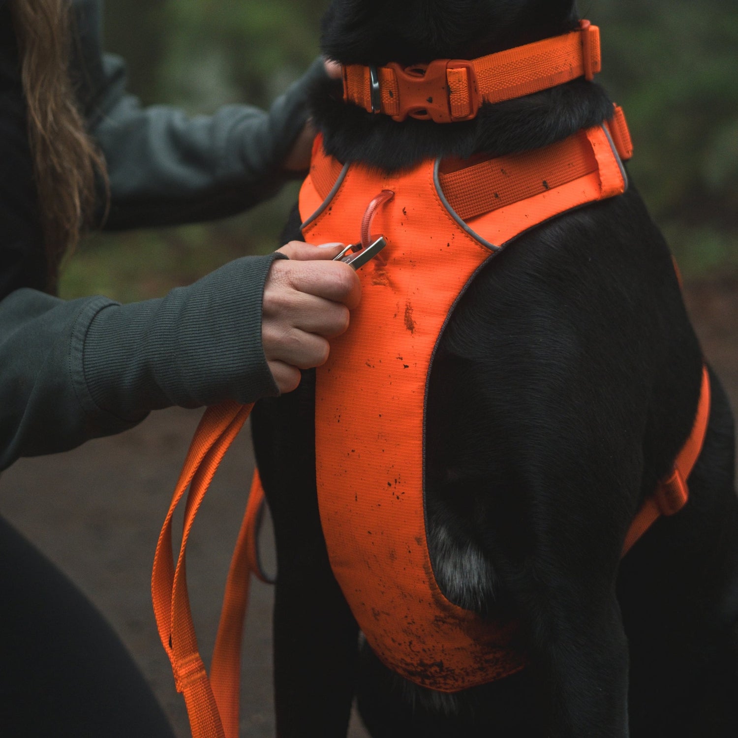 Ruffwear Front Range Leash - Premium Hundeleine mit gepolstertem Griff - Woofshack