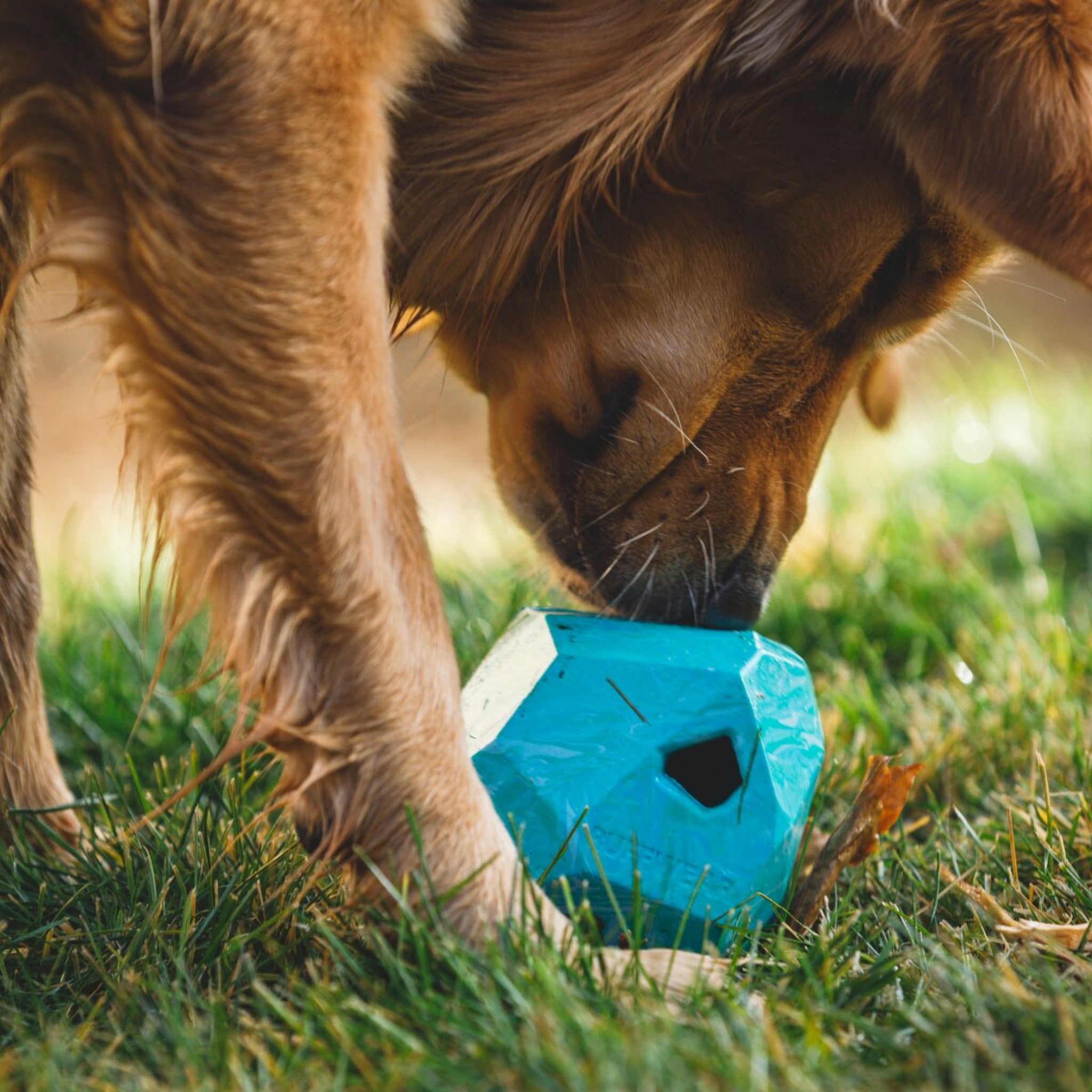 Ruffwear Gnawt-a-Rock - Unzerstörbares Premium-Kauspielzeug für Power-Kauer und aggressive Beißer | Extrem robustes Hundespielzeug für starke Hunde