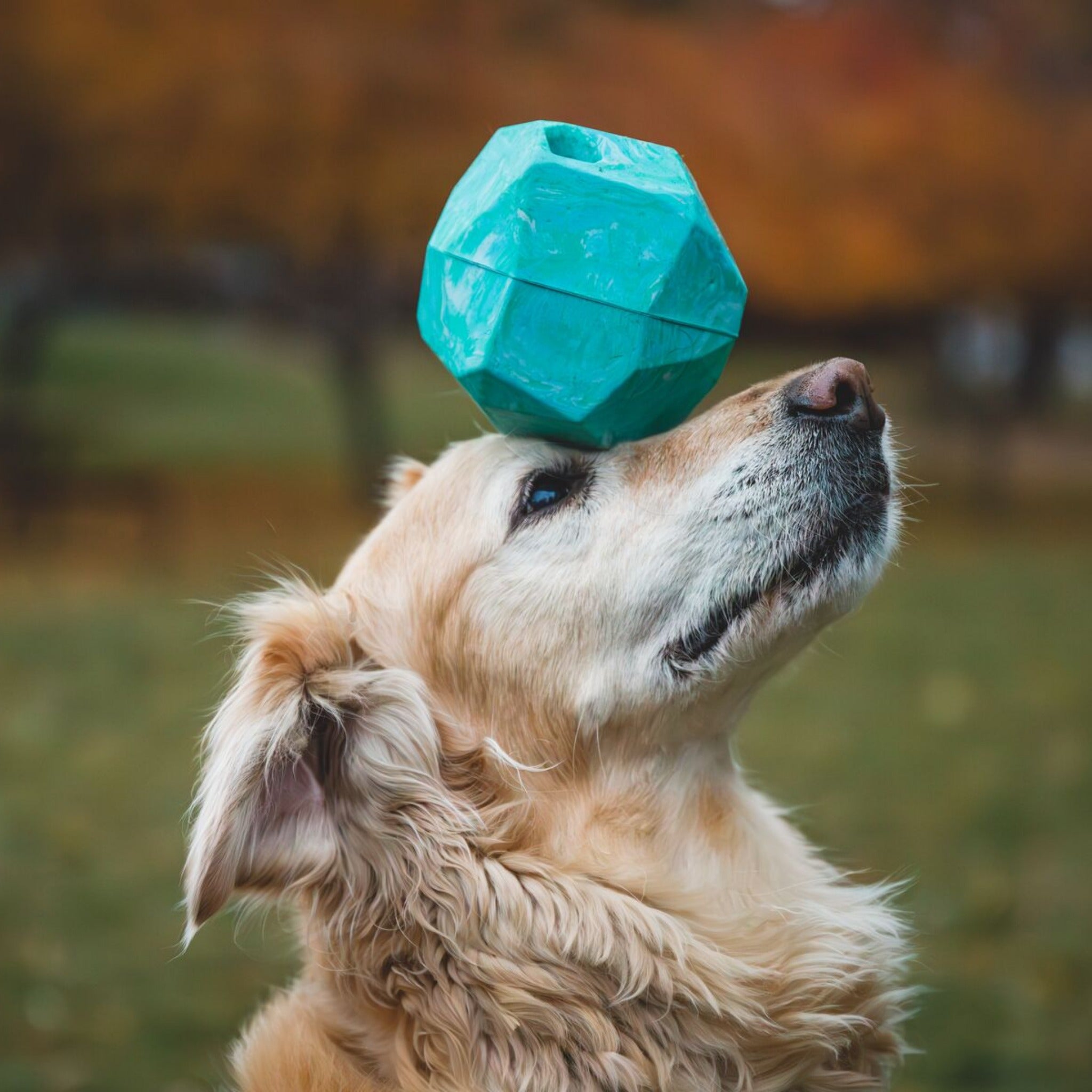 Ruffwear Gnawt-a-Rock