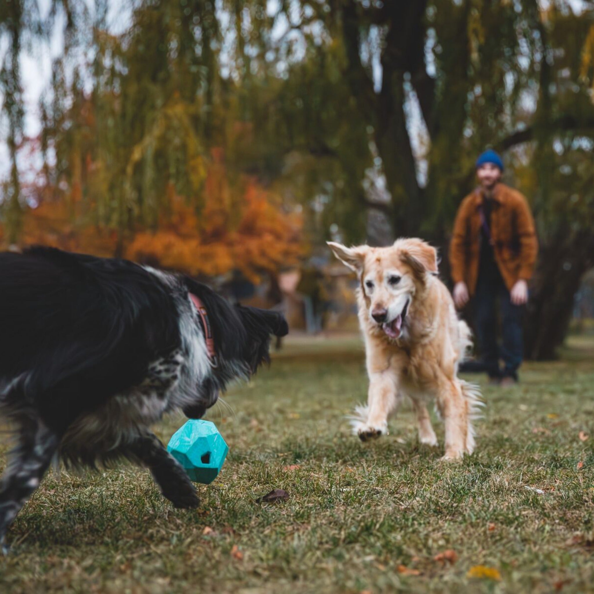 Ruffwear Gnawt-a-Rock - Unzerstörbares Premium-Kauspielzeug für Power-Kauer und aggressive Beißer | Extrem robustes Hundespielzeug für starke Hunde