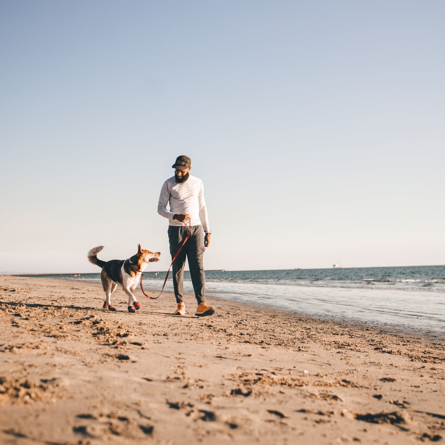 Ruffwear Grip Trex Hundeschuhe – Professioneller Pfotenschutz für Abenteuer, Arbeitshunde &amp; Diensthunde in jedem Gelände - Woofshack