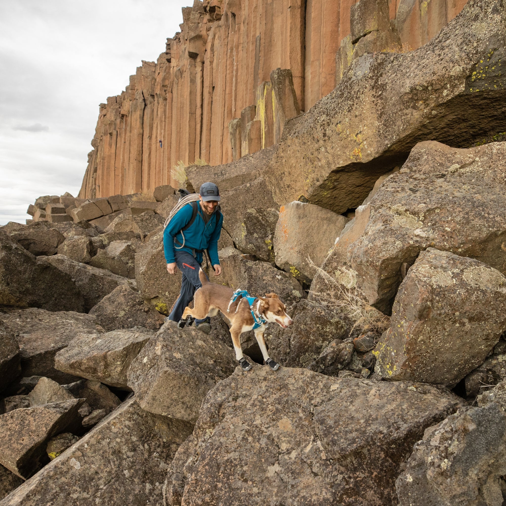 Ruffwear Grip Trex Hundeschuhe – Professioneller Pfotenschutz für Abenteuer, Arbeitshunde &amp; Diensthunde in jedem Gelände - Woofshack