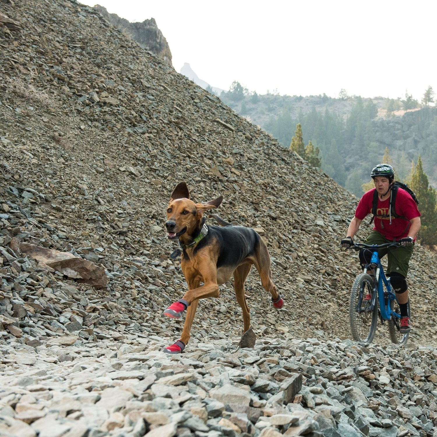 Ruffwear Grip Trex Hundeschuhe – Professioneller Pfotenschutz für Abenteuer, Arbeitshunde &amp; Diensthunde in jedem Gelände - Woofshack