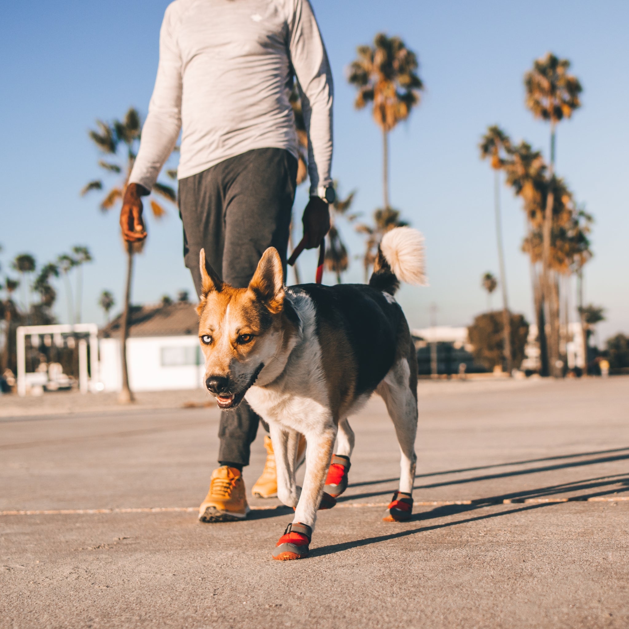 Ruffwear Grip Trex Hundeschuhe – Professioneller Pfotenschutz für Abenteuer, Arbeitshunde &amp; Diensthunde in jedem Gelände - Woofshack
