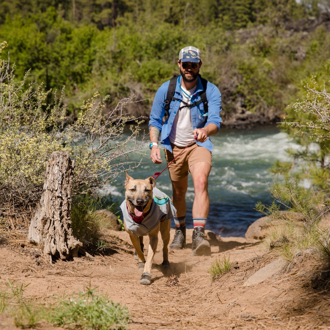 Ruffwear Grip Trex Hundeschuhe – Professioneller Pfotenschutz für Abenteuer, Arbeitshunde &amp; Diensthunde in jedem Gelände - Woofshack