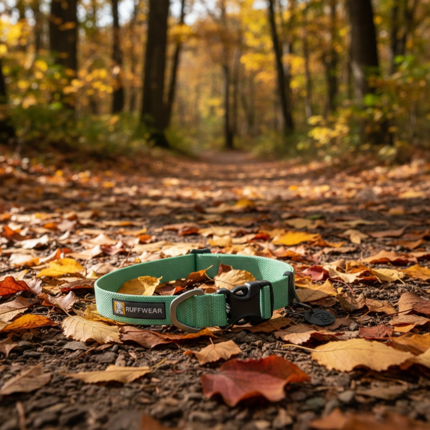 Ruffwear Hi &amp; Light Collar – Ultraleichtes Hundehalsband für aktive Hunde - Woofshack