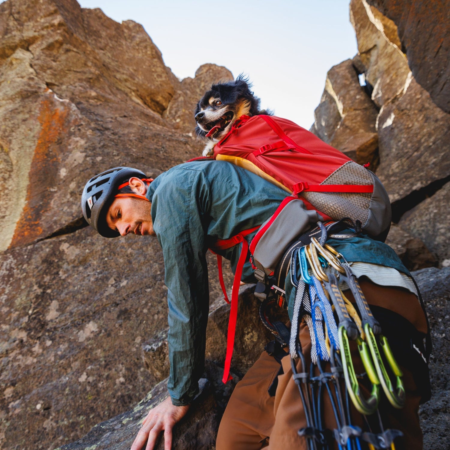 Ruffwear Hitch Hiker Dog Backpack Carrier – Komfortable Hunderucksack - Tragetasche für Abenteuer &amp; sichere Transporte - Woofshack