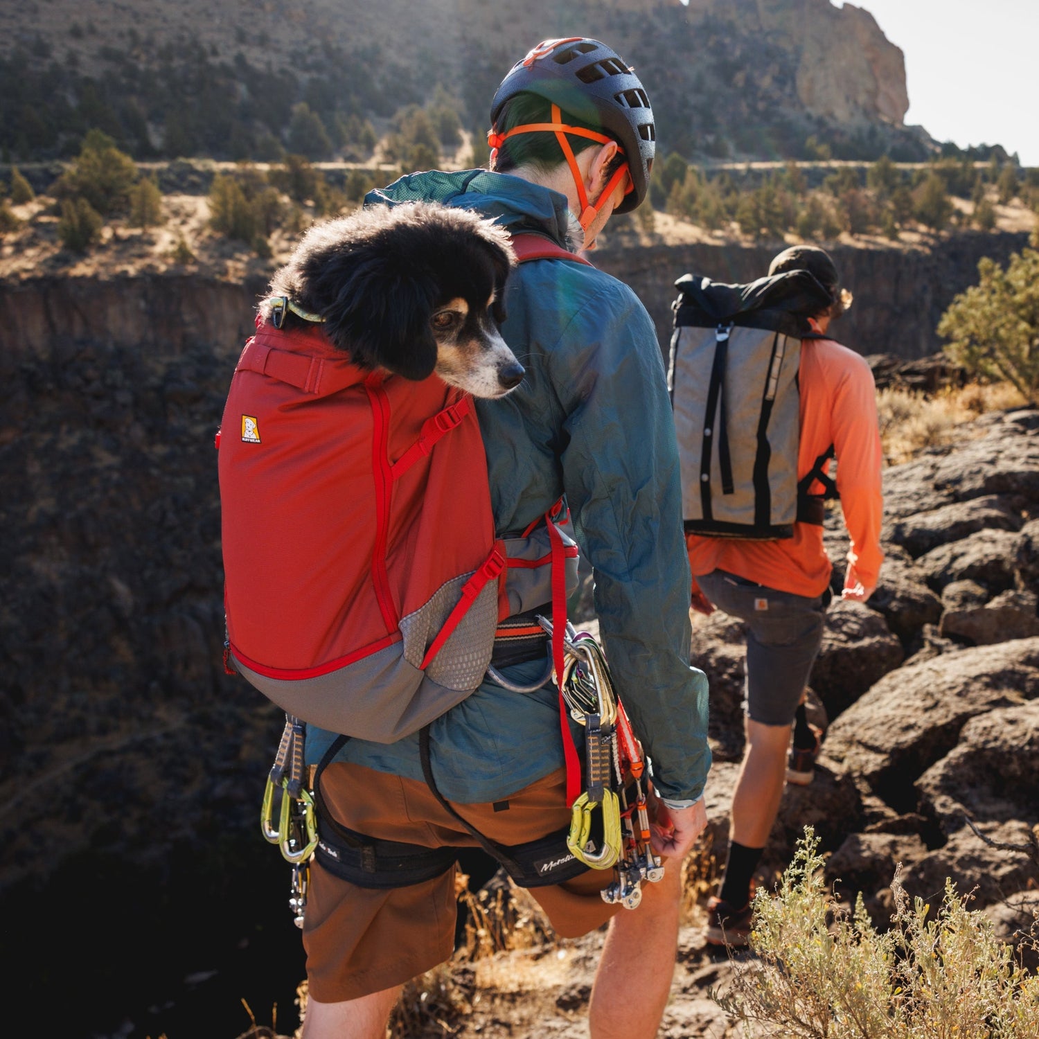 Ruffwear Hitch Hiker Dog Backpack Carrier – Komfortable Hunderucksack - Tragetasche für Abenteuer &amp; sichere Transporte - Woofshack