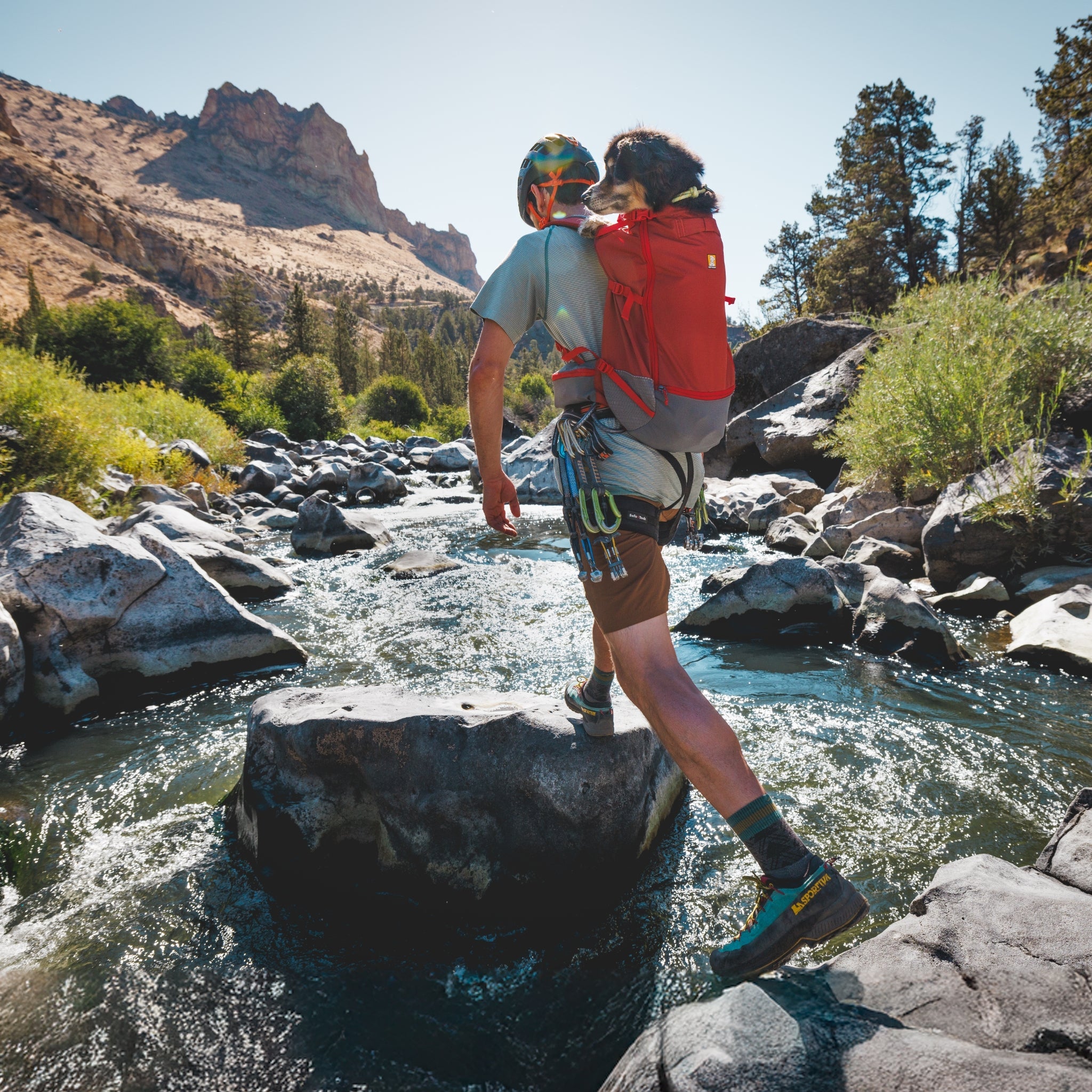 Ruffwear Hitch Hiker Dog Backpack Carrier – Komfortable Hunderucksack - Tragetasche für Abenteuer &amp; sichere Transporte - Woofshack