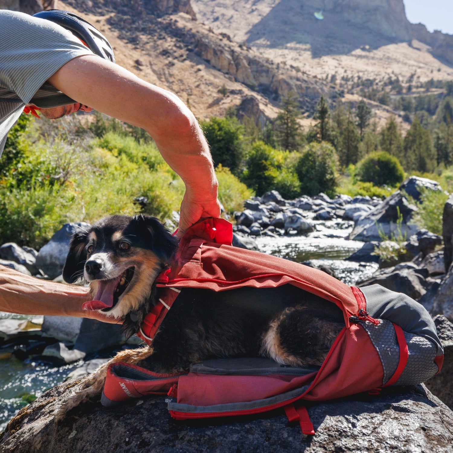 Ruffwear Hitch Hiker Dog Backpack Carrier – Komfortable Hunderucksack - Tragetasche für Abenteuer &amp; sichere Transporte - Woofshack