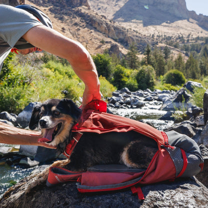 Ruffwear Hitch Hiker Dog Backpack Carrier – Komfortable Hunderucksack - Tragetasche für Abenteuer &amp; sichere Transporte - Woofshack