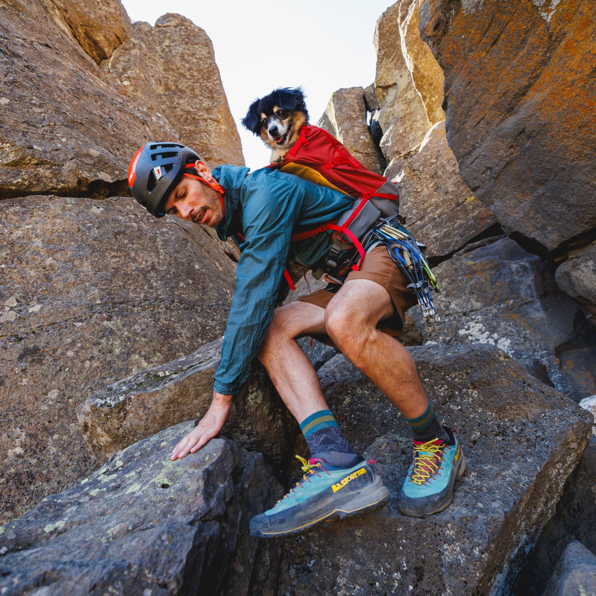 Ruffwear Hitch Hiker Dog Backpack Carrier – Komfortable Hunderucksack - Tragetasche für Abenteuer &amp; sichere Transporte - Woofshack