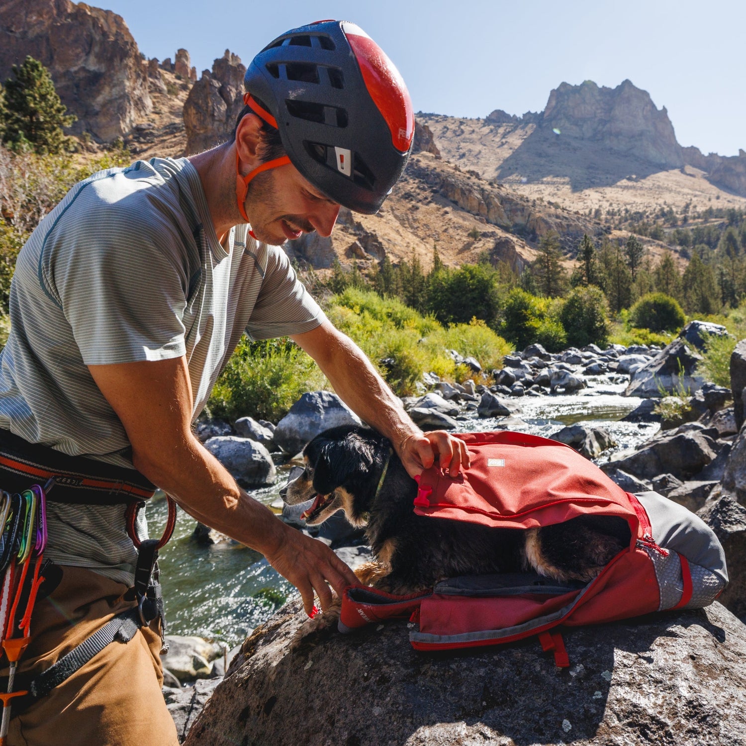 Ruffwear Hitch Hiker Dog Backpack Carrier – Komfortable Hunderucksack - Tragetasche für Abenteuer &amp; sichere Transporte - Woofshack