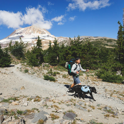 Ruffwear Hitch Hiker Leash – Premium Hüftleine mit verstellbarer Seilleine für freihändiges Wandern mit aktiven Hunden - Woofshack