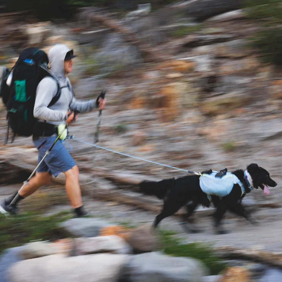 Ruffwear Hitch Hiker Leash – Premium Hüftleine mit verstellbarer Seilleine für freihändiges Wandern mit aktiven Hunden - Woofshack