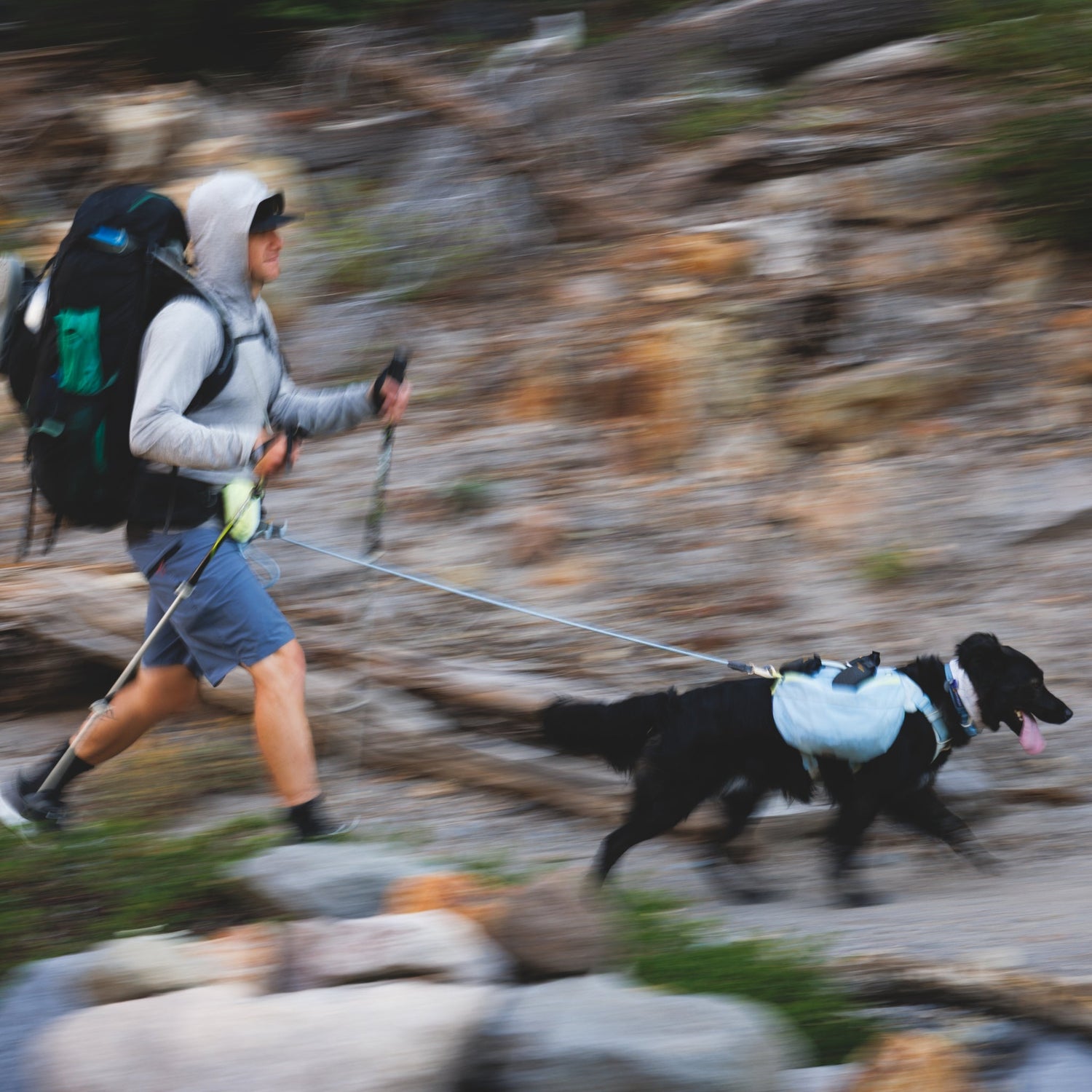 Ruffwear Hitch Hiker Leash – Premium Hüftleine mit verstellbarer Seilleine für freihändiges Wandern mit aktiven Hunden - Woofshack