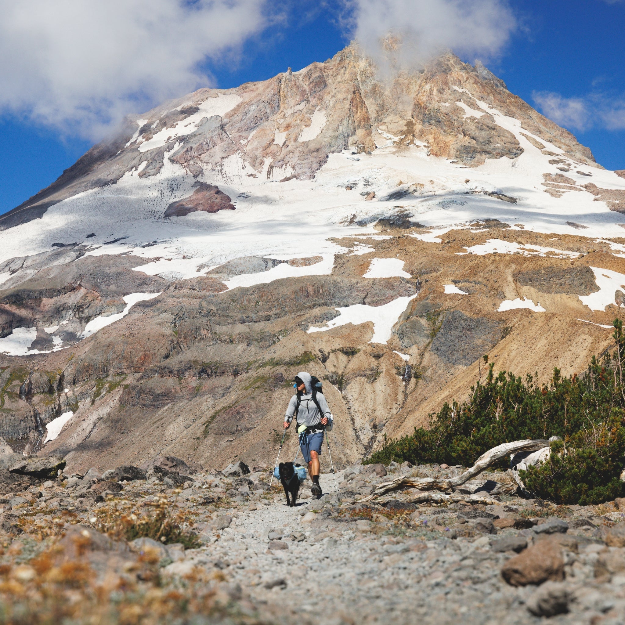 Ruffwear Hitch Hiker Leash – Premium Hüftleine mit verstellbarer Seilleine für freihändiges Wandern mit aktiven Hunden - Woofshack