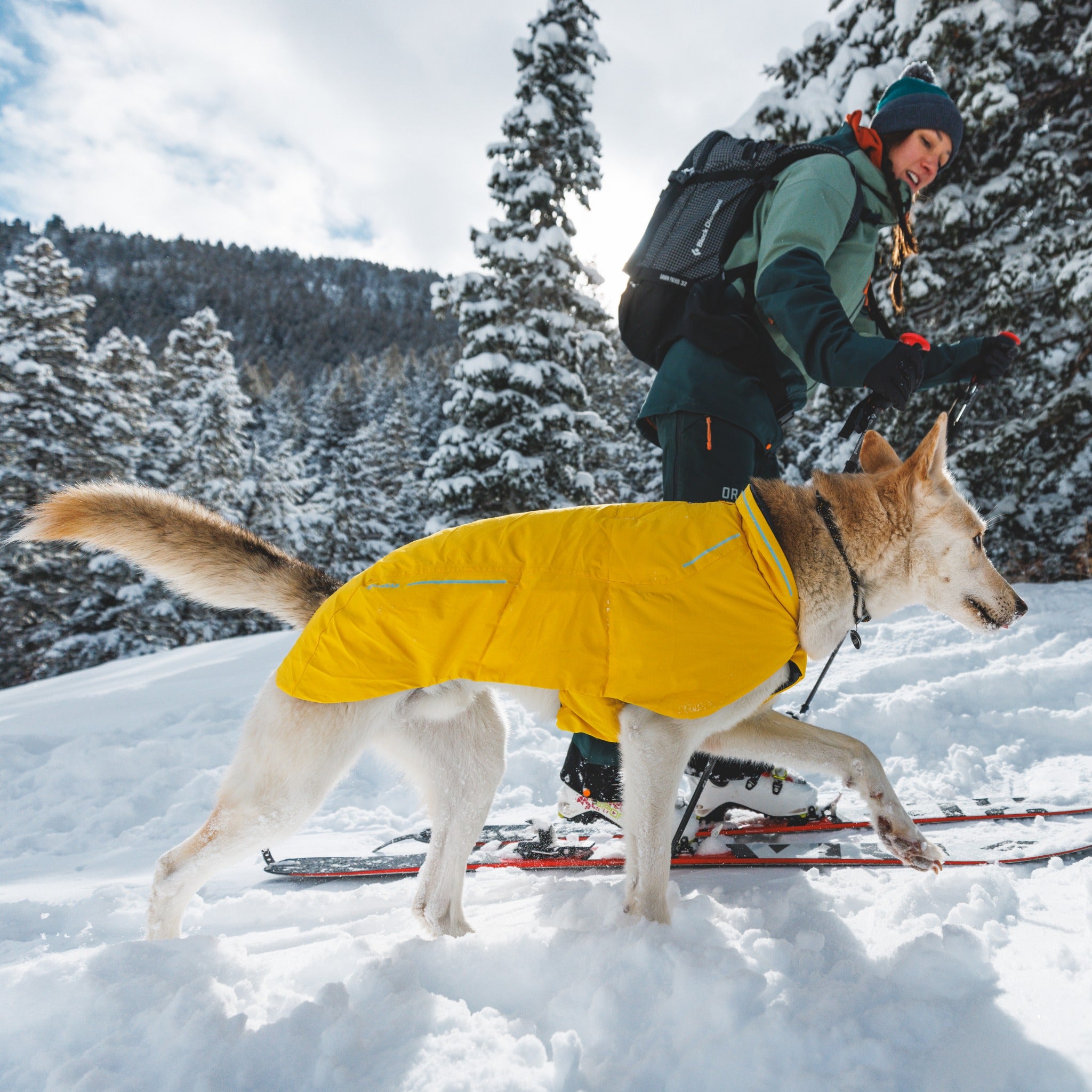 Ruffwear Knot-a-Collar – Reflektierendes Premium-Hundehalsband aus robustem Kletterseil für aktive Hunde