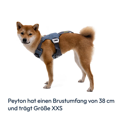 Ruffwear Load Up Harness – Sicherheitsgeschirr für Autofahrten mit Hunden - Woofshack