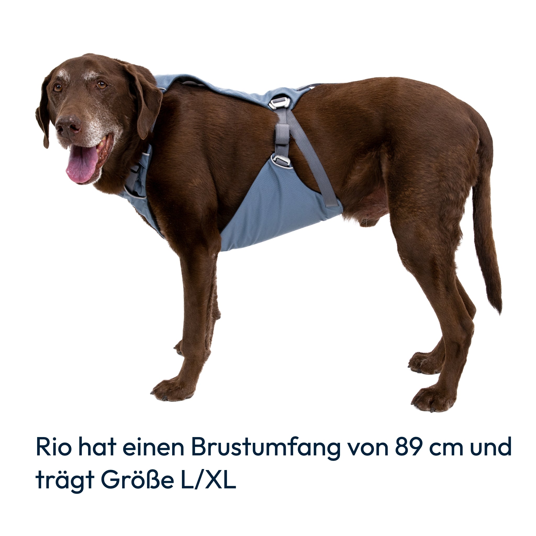 Ruffwear Load Up Harness – Sicherheitsgeschirr für Autofahrten mit Hunden - Woofshack