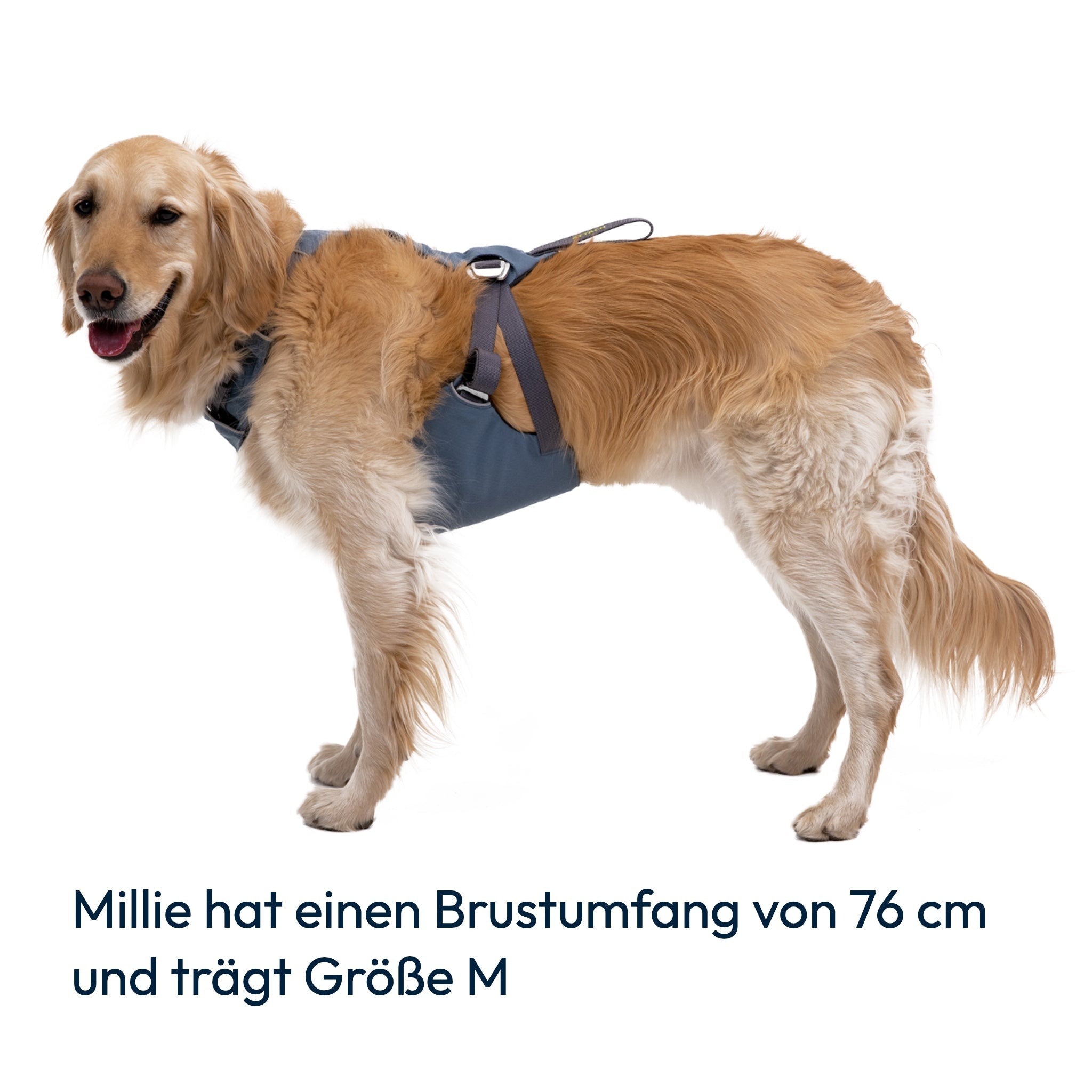 Ruffwear Load Up Harness – Sicherheitsgeschirr für Autofahrten mit Hunden - Woofshack