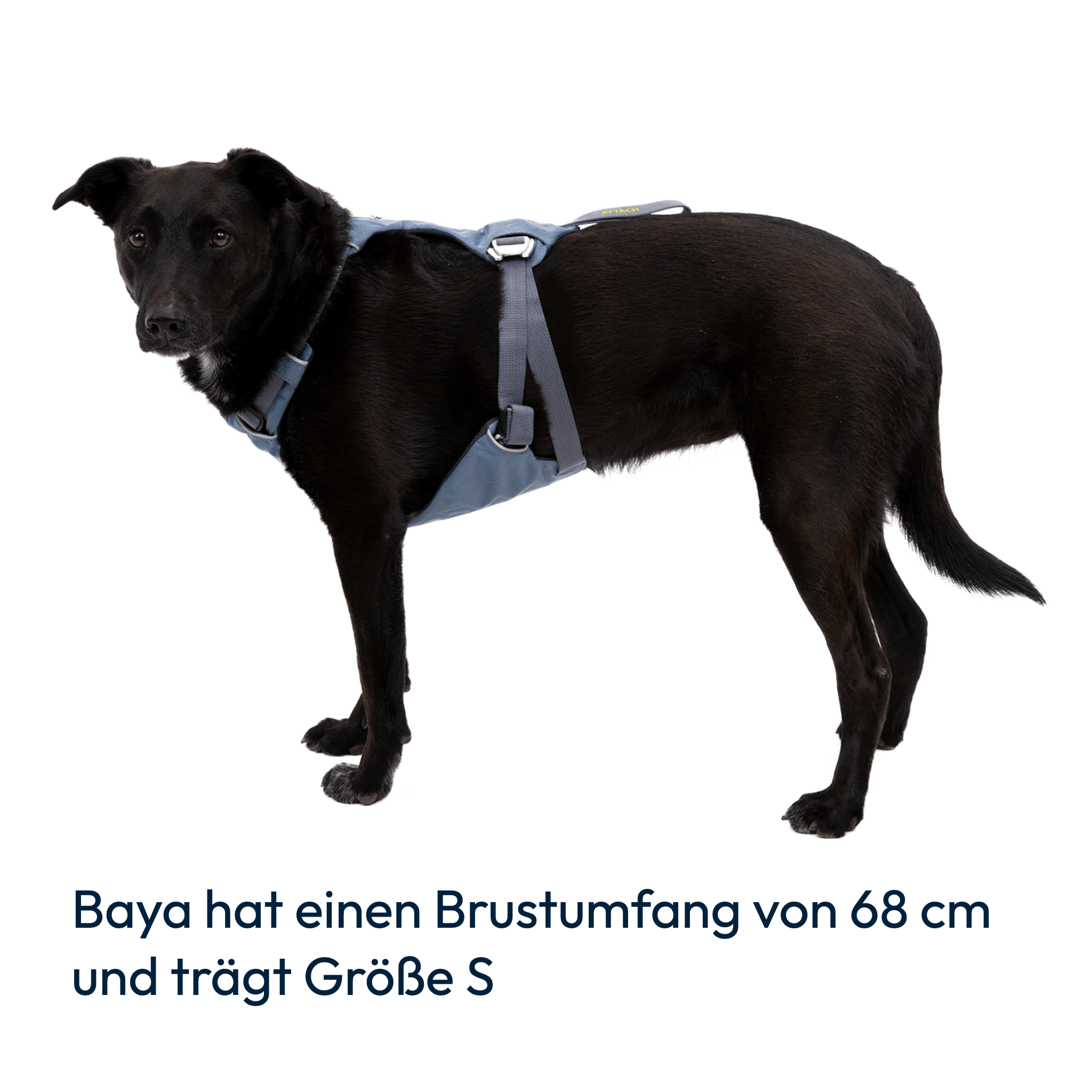Ruffwear Load Up Harness – Sicherheitsgeschirr für Autofahrten mit Hunden - Woofshack