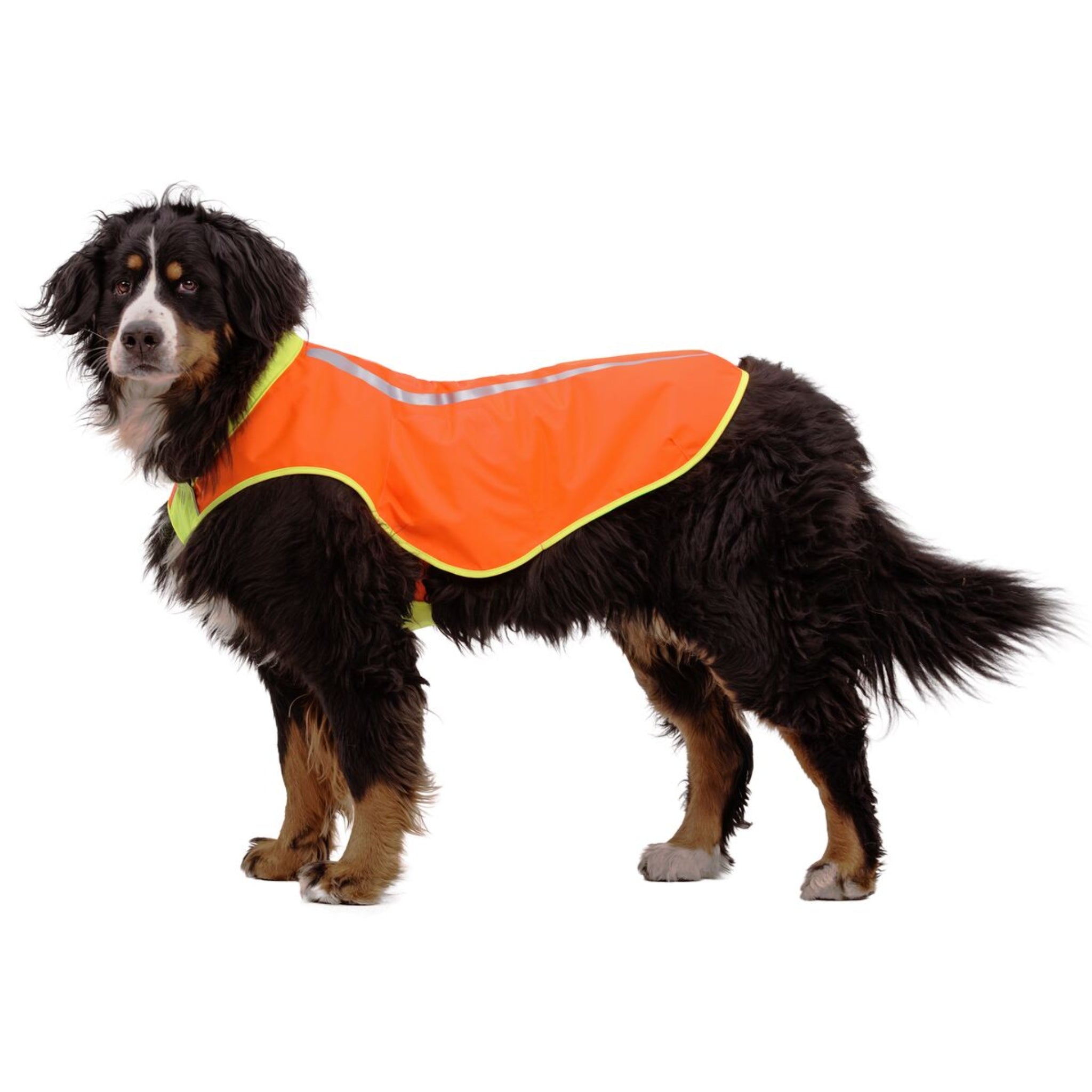Ruffwear Lumenglow High-Vis Vest – Hochsichtbarkeits-Hundeweste mit Reflektoren für sichere Abendspaziergänge &amp; Outdoor-Abenteuer bei Dämmerung, Nebel und Dunkelheit