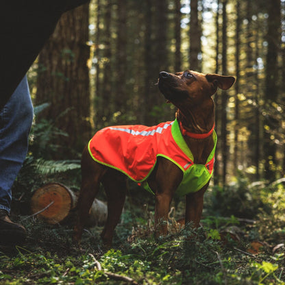 Ruffwear Lumenglow High-Vis Vest – Hochsichtbarkeits-Hundeweste mit Reflektoren für sichere Abendspaziergänge &amp; Outdoor-Abenteuer bei Dämmerung, Nebel und Dunkelheit
