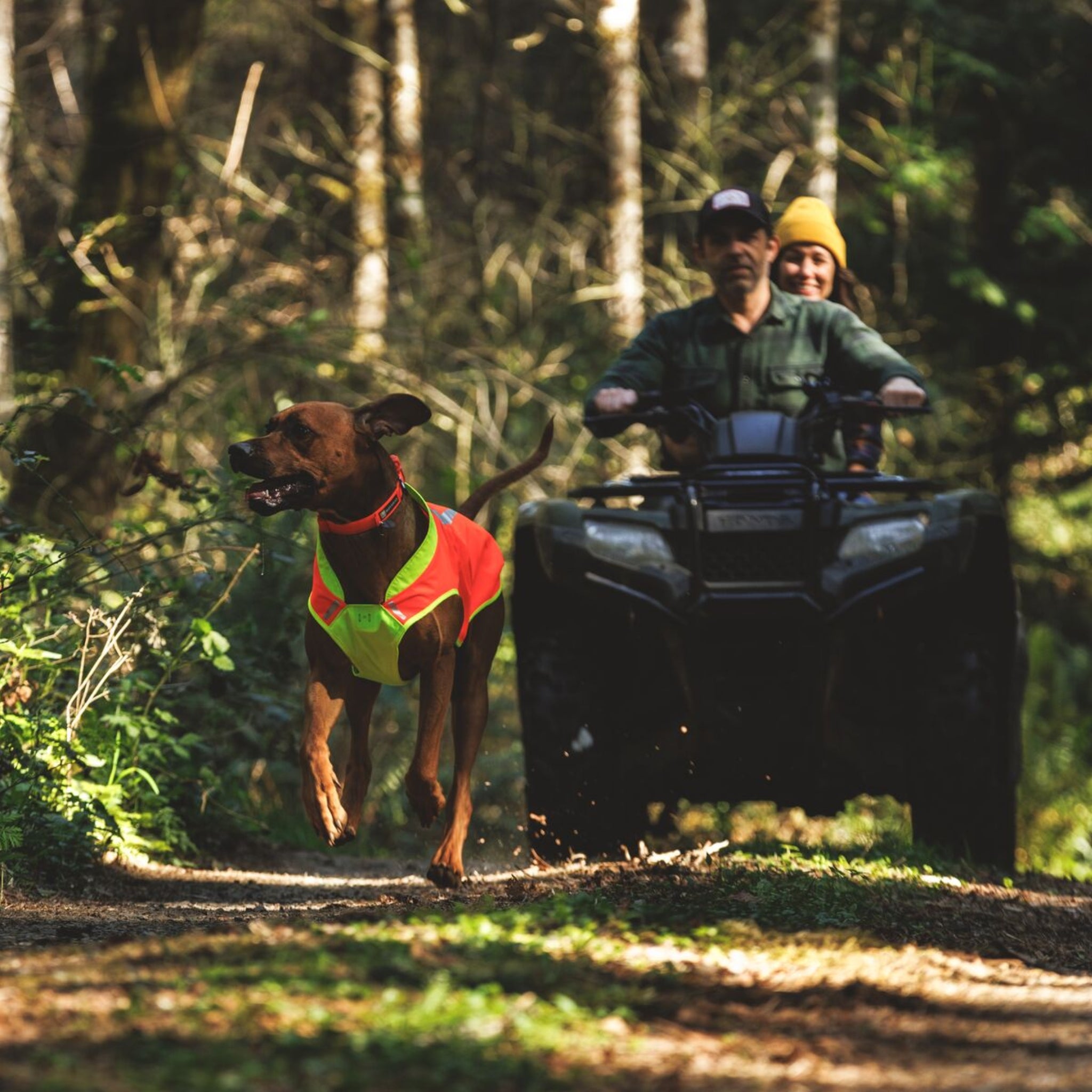 Ruffwear Lumenglow High-Vis Vest – Hochsichtbarkeits-Hundeweste mit Reflektoren für sichere Abendspaziergänge &amp; Outdoor-Abenteuer bei Dämmerung, Nebel und Dunkelheit