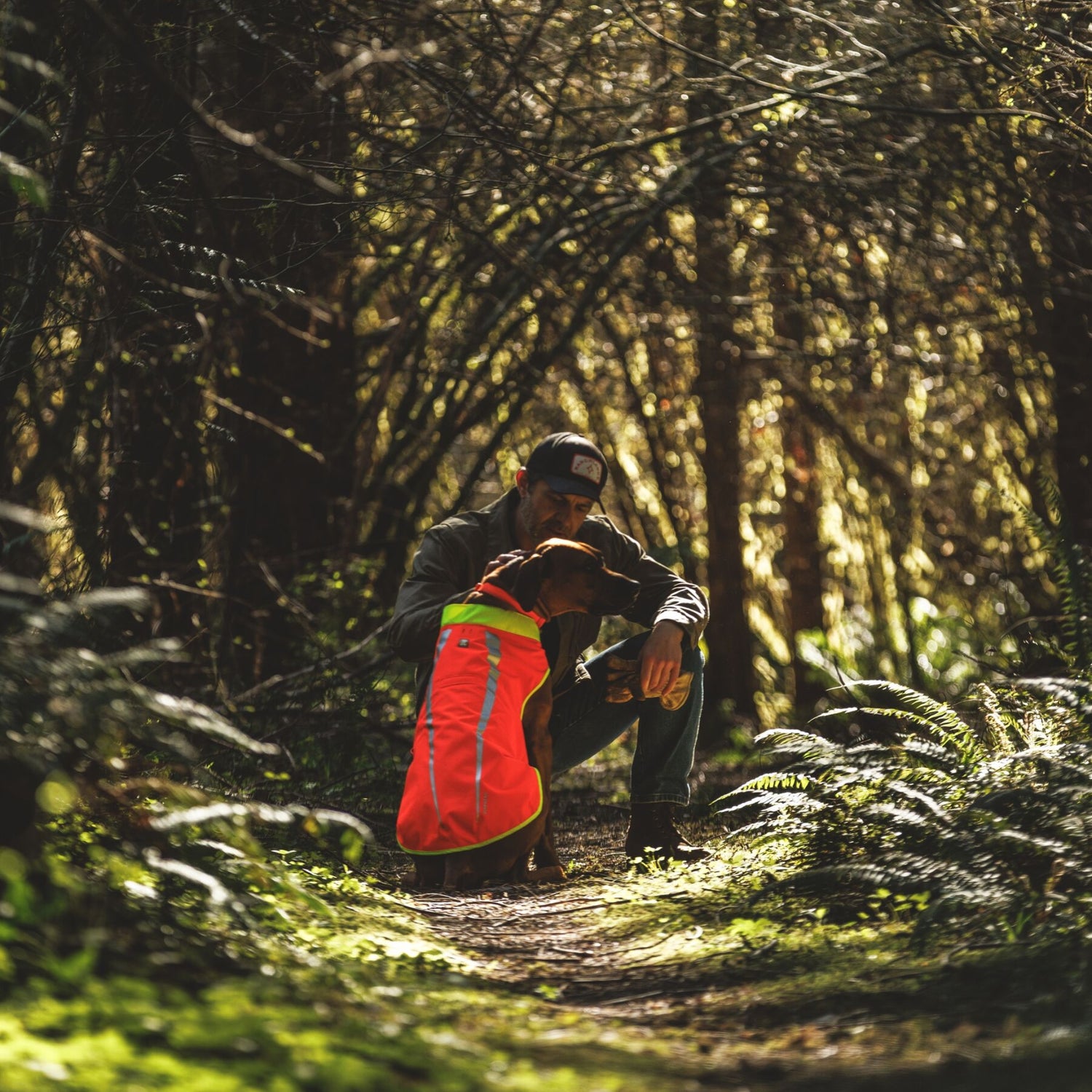 Ruffwear Lumenglow High-Vis Vest – Hochsichtbarkeits-Hundeweste mit Reflektoren für sichere Abendspaziergänge &amp; Outdoor-Abenteuer bei Dämmerung, Nebel und Dunkelheit