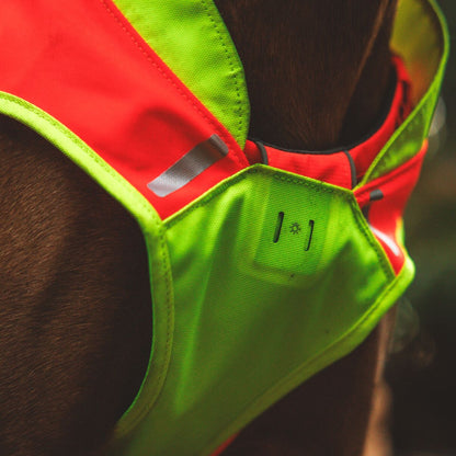Ruffwear Lumenglow High-Vis Vest – Hochsichtbarkeits-Hundeweste mit Reflektoren für sichere Abendspaziergänge &amp; Outdoor-Abenteuer bei Dämmerung, Nebel und Dunkelheit