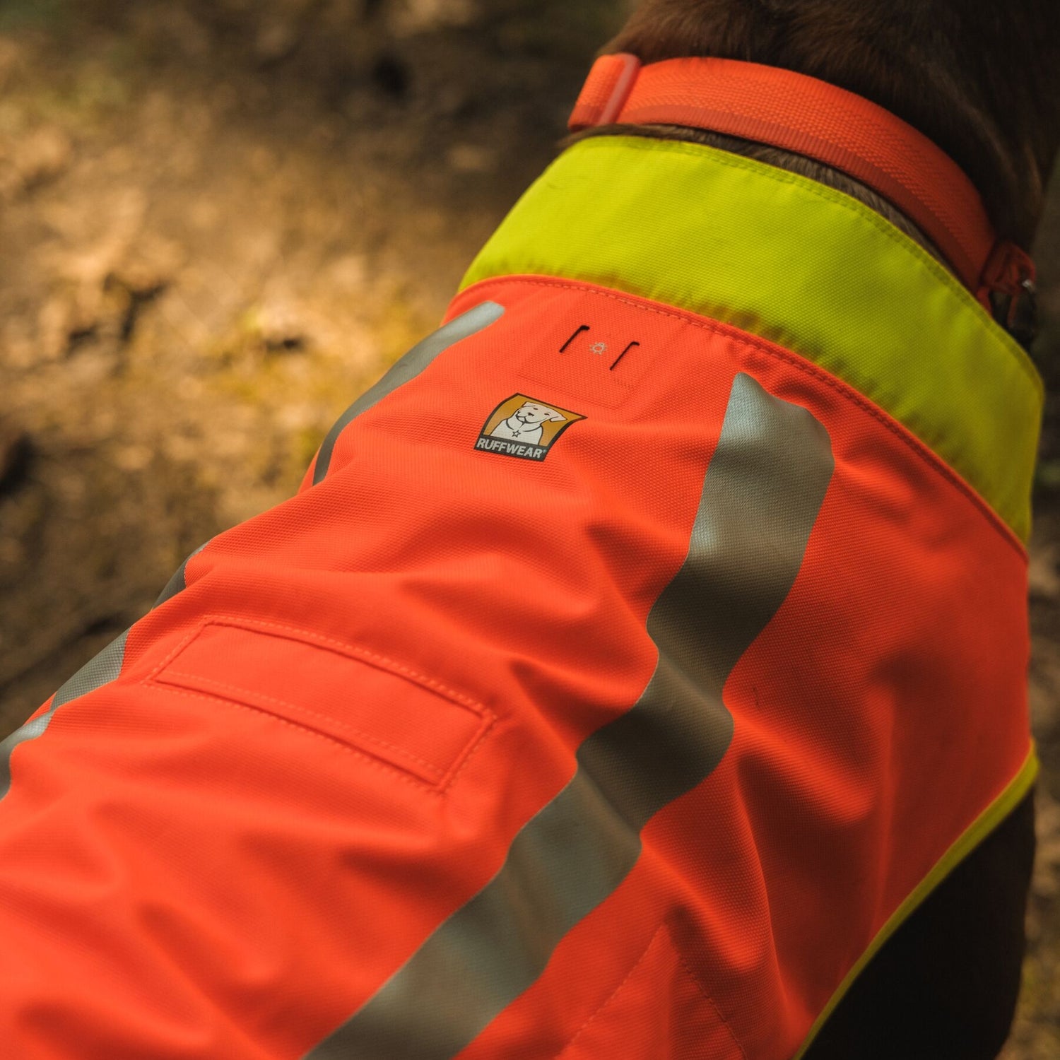 Ruffwear Lumenglow High-Vis Vest – Hochsichtbarkeits-Hundeweste mit Reflektoren für sichere Abendspaziergänge &amp; Outdoor-Abenteuer bei Dämmerung, Nebel und Dunkelheit