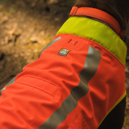 Ruffwear Lumenglow High-Vis Vest – Hochsichtbarkeits-Hundeweste mit Reflektoren für sichere Abendspaziergänge &amp; Outdoor-Abenteuer bei Dämmerung, Nebel und Dunkelheit