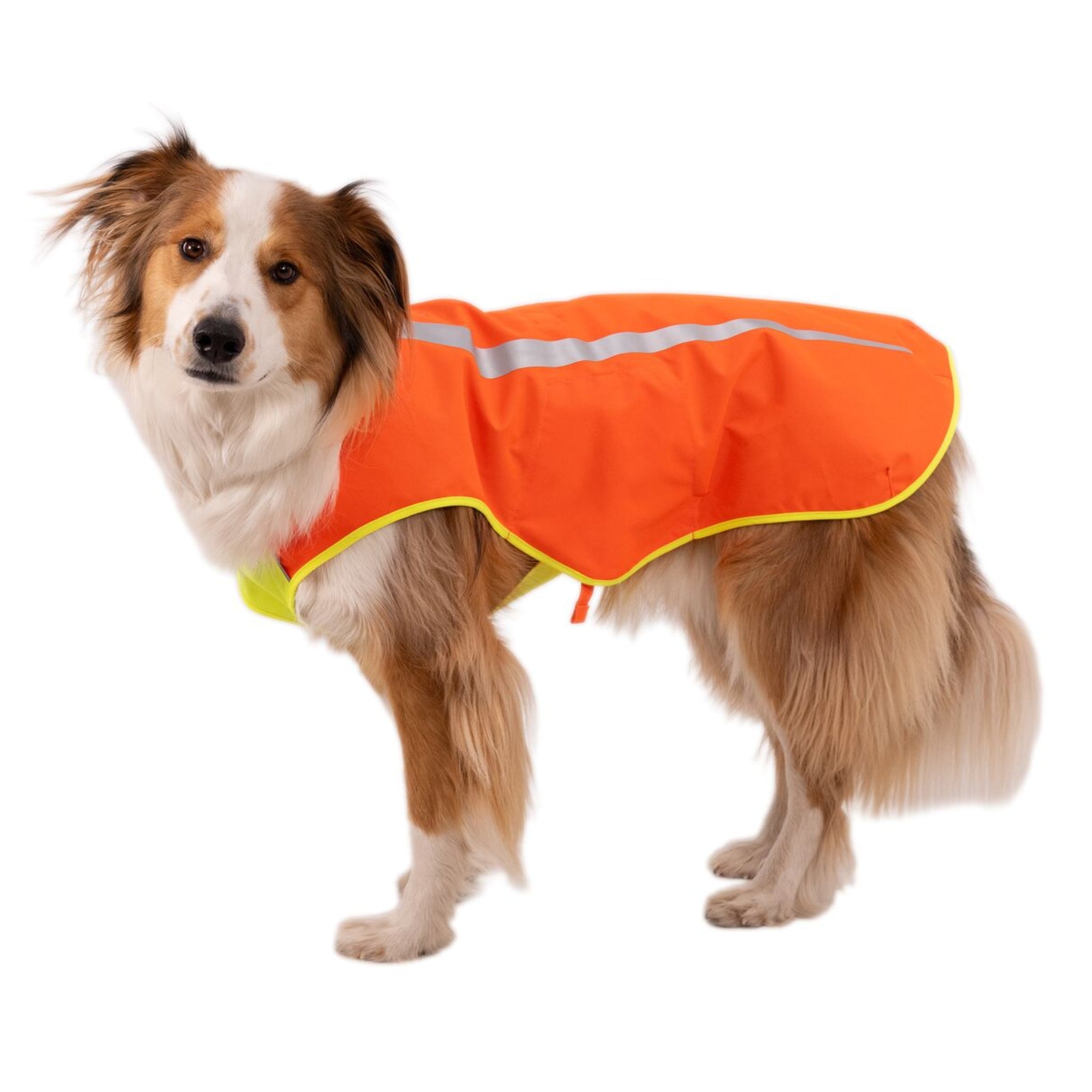 Ruffwear Lumenglow High-Vis Vest – Hochsichtbarkeits-Hundeweste mit Reflektoren für sichere Abendspaziergänge &amp; Outdoor-Abenteuer bei Dämmerung, Nebel und Dunkelheit